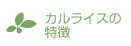 カルシウムについて